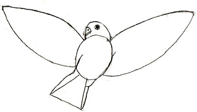 Уроки рисования для детей: рисуем красивую птицу